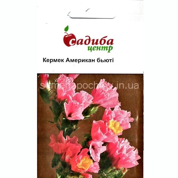 Кермек розовый АМЕРИКАН БЬЮТИ HEM ZADEN 0,1 грамм Кермек розовый АМЕРИКАН БЬЮТИ