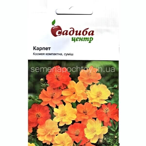 Космея КОМПАКТНАЯ КАРПЕТ HEM ZADEN 0,2 грамма Космея КОМПАКТНАЯ КАРПЕТ СМЕСЬ