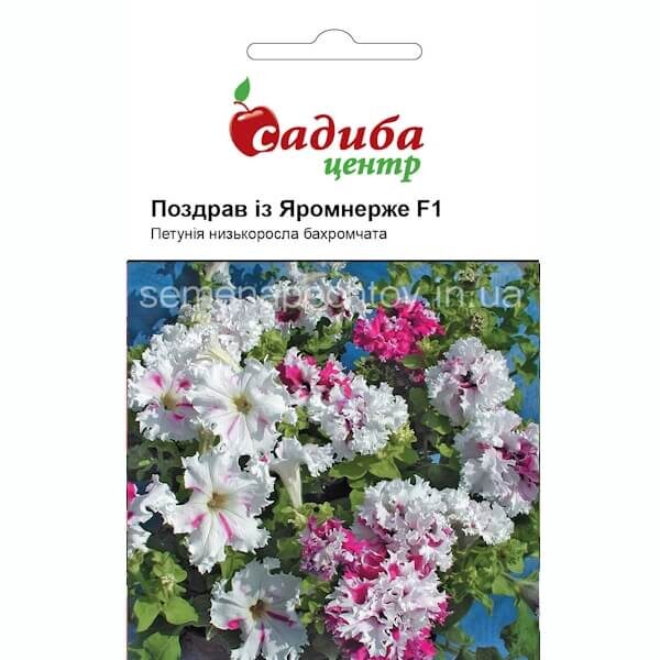 Петуния низкорослая бахромчатая ПОЗДРАВ ИЗ ЯРОМНЕРЖЕ Černý Seeds 10 гранул Петуния ПОЗДРАВ ИЗ ЯРОМНЕРЖЕ