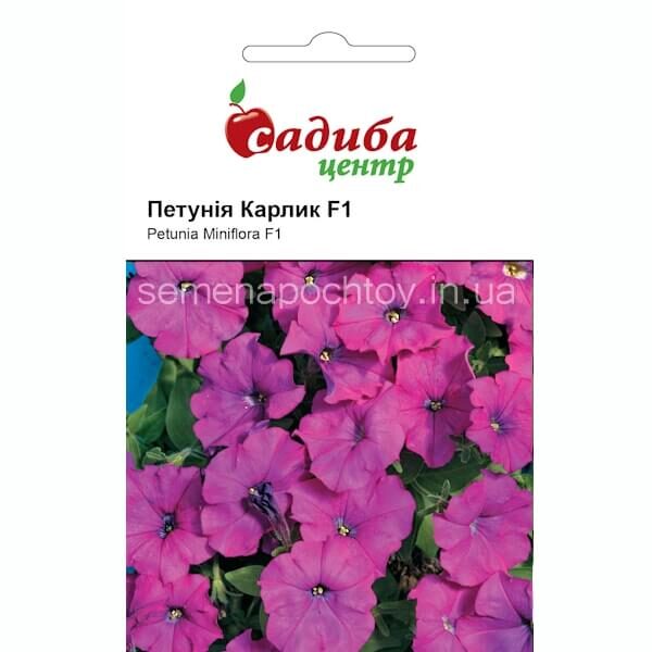 Петуния КАРЛИК F1 ФИОЛЕТОВАЯ Černý Seeds 10 гранул Петуния фиолетовая КАРЛИК F1