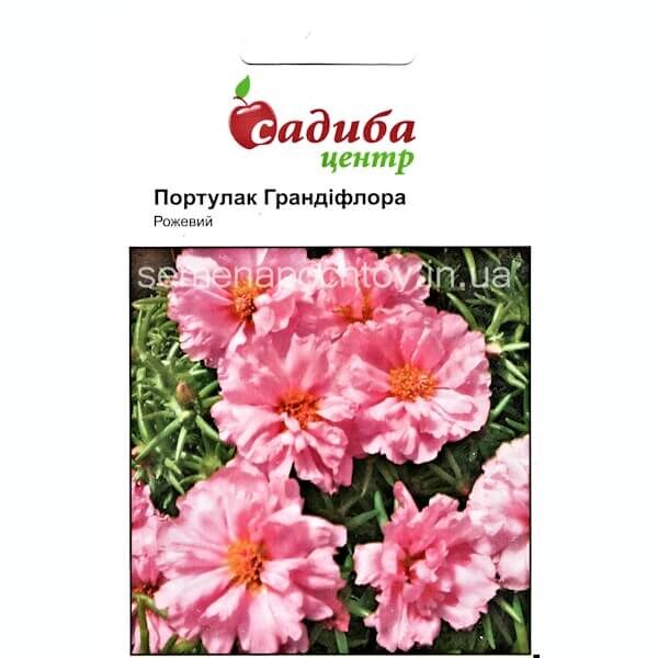 Портулак ГРАНДИФЛОРА РОЗОВЫЙ HEM ZADEN 0,02 грамма Портулак ГРАНДИФЛОРА РОЗОВЫЙ