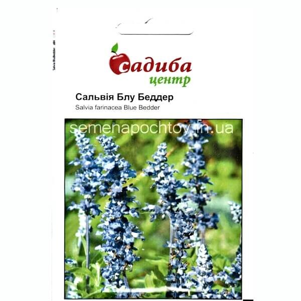 Сальвия БЛУБЕДДЕР СИНЯЯ HEM ZADEN 0,5 граммов Сальвия БЛУБЕДДЕР СИНЯЯ