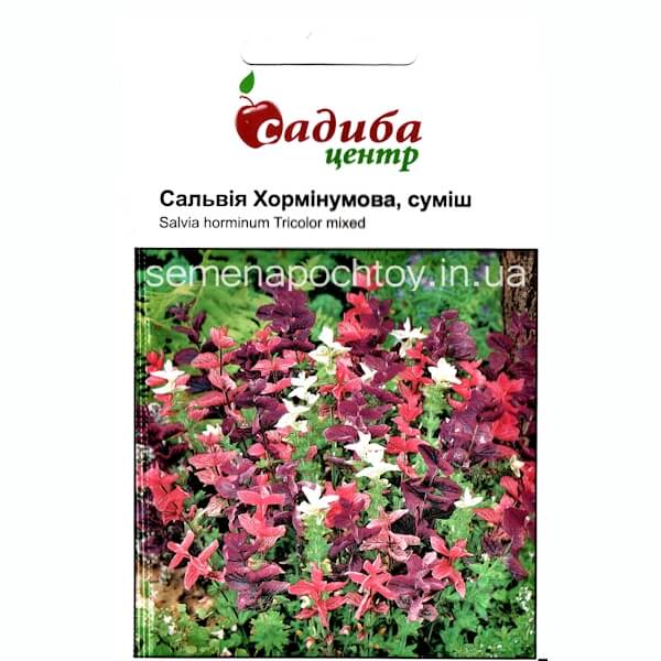 Сальвия ХОРМИНУМОВАЯ Сальвия ХОРМИНУМОВАЯ