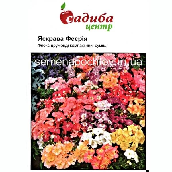 Флокс КРАСОЧНАЯ ФЕЕРИЯ СМЕСЬ