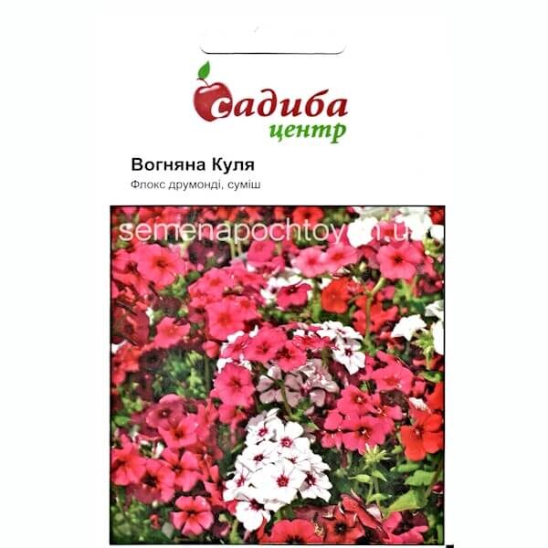 Флокс друммонда КРАСОЧНАЯ ФЕЕРИЯ СМЕСЬ