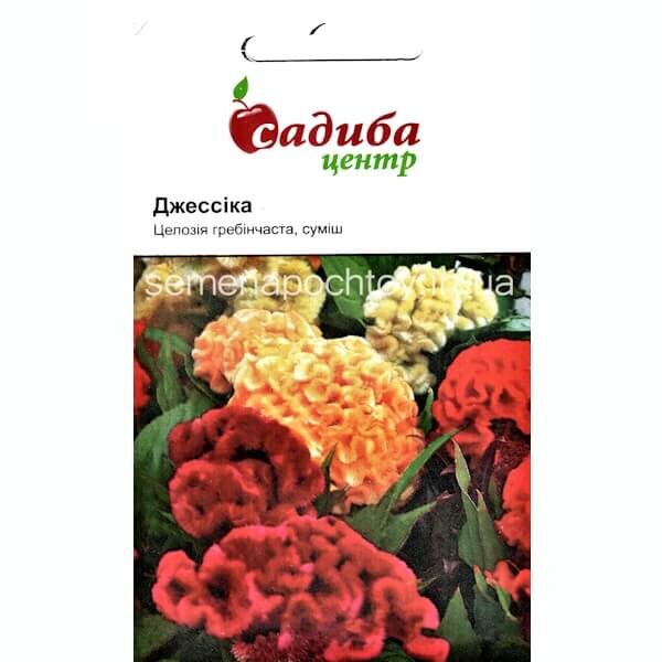 Целлозия ДЖЕССИКА