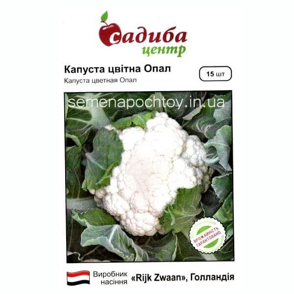 Капуста ОПАЛ BEJO ZADEN ЦВЕТНАЯ 20 семян Капуста ОПАЛ