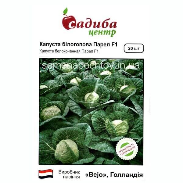 Капуста ПАРЕЛ F1 BEJO ZADEN УТРАРАННЯЯ 20 семян Капуста ПАРЕЛ F1