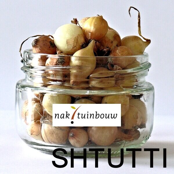 Лук SHTUTTI NAKTUINBOUW Круглый 1 кг Лук SHTUTTI
