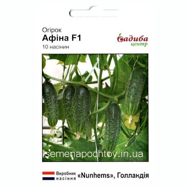 Огурец АФИНА F1
