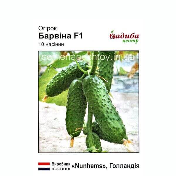 Огурец БАРВИНА F1