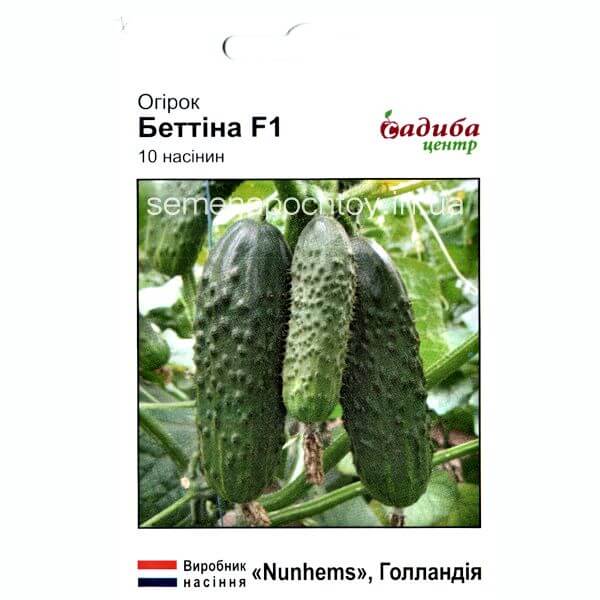 Огурец БЕТИНА F1