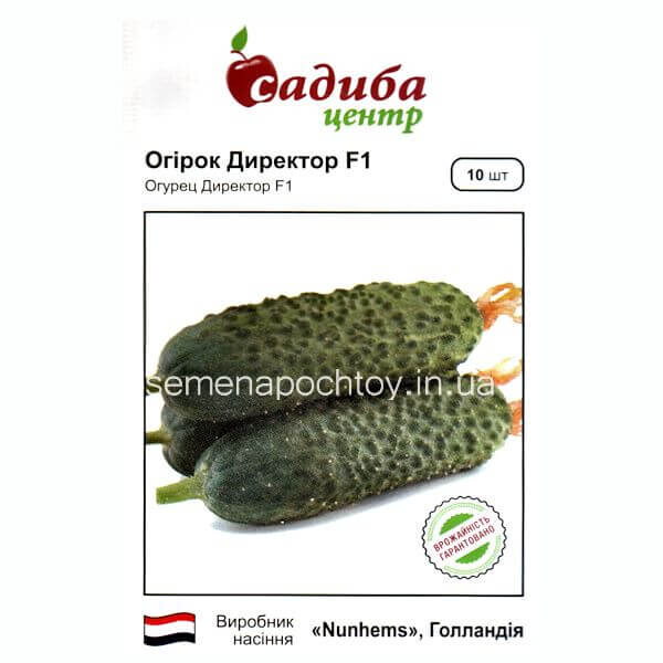 Огурец ДИРЕКТОР F1