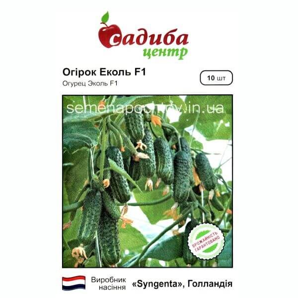 Огурец ЭКОЛЬ F1 SYNGENTA КОРНИШОН 10 семян Огурец ЭКОЛЬ F1