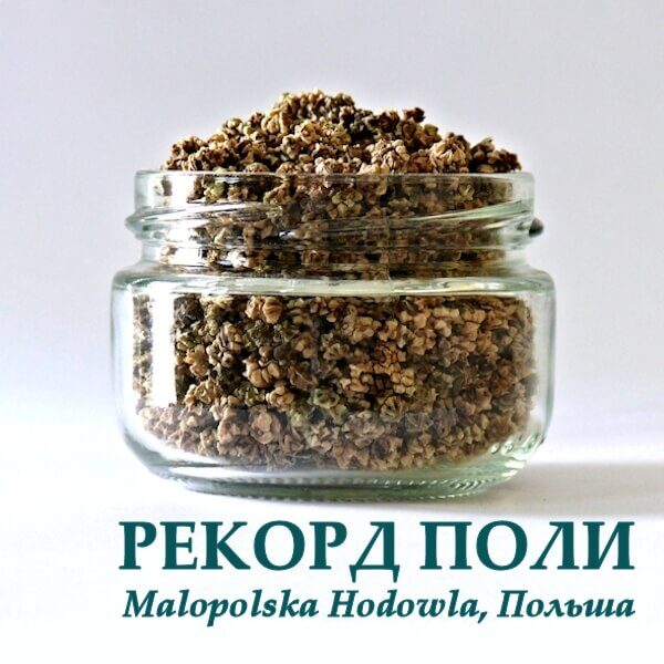 Кормовая свекла РЕКОРД ПОЛИ РІВА-ТРЕЙД 1 кг Свекла Рекорд поли