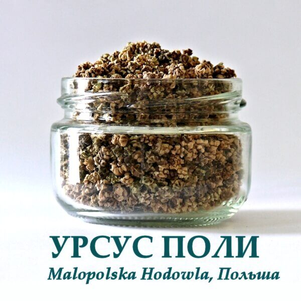 Кормовая свекла УРСУС ПОЛИ РІВА-ТРЕЙД 1 кг Свекла УРСУС ПОЛИ