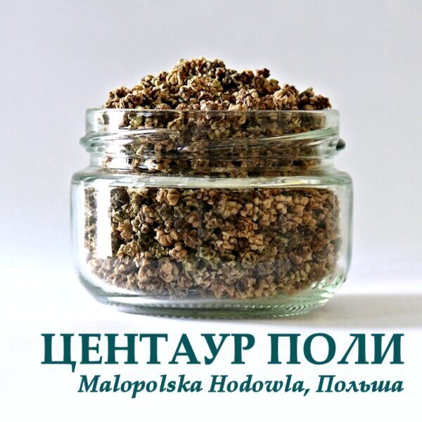 Кормовая свекла ЦЕНТАУР ПОЛИ РІВА- ТРЕЙД 1 кг Свекла ЦЕНТАУР ПОЛИ