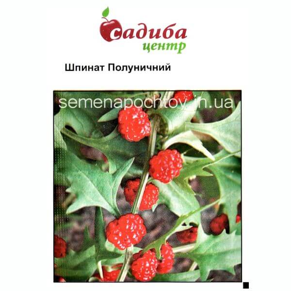 Шпинат КЛУБНИЧНЫЙ Шпинат КЛУБНИЧНЫЙ