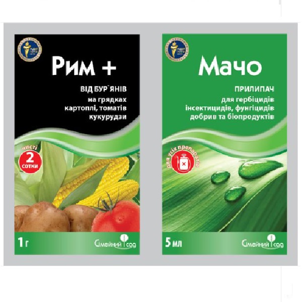 рим мачо